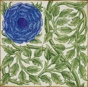 Plant with a Blue Flower