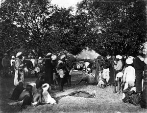 Tiger Hunting in India by Willoughby Wallace Hooper