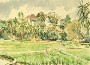 Lankatilaka from the paddy fields by Wilson Clive