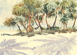 Straw trees, Bentota by Wilson Clive