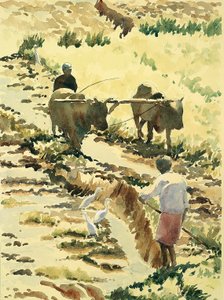 Preparing the paddy field by Wilson Clive