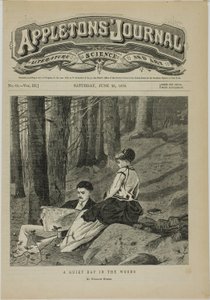 A Quiet Day in the Woods