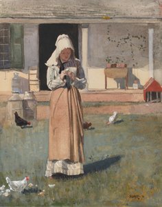 A Sick Chicken