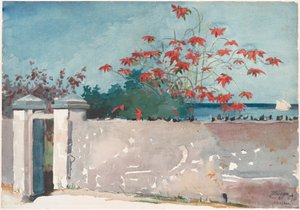 A Wall, Nassau