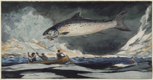 A Good Pool, Saguenay River by Winslow Homer