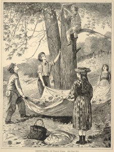 Chestnutting, from Every Saturday: An Illustrated Journal of Choice Reading, October 29, 1870