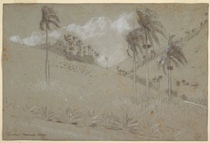 Cuban Hillside, 1885