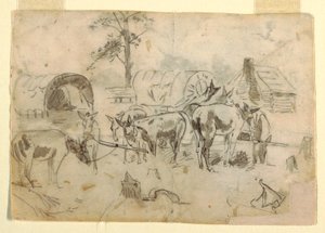 Resting Mules Tethered to Wagons, 1862 by Winslow Homer