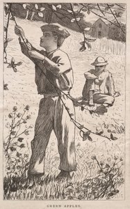Green Apples by Winslow Homer