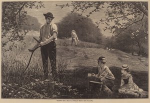 Making Hay