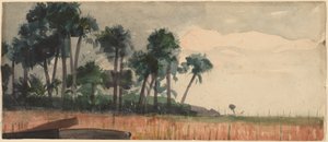 Palm Trees, Red by Winslow Homer