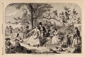 Picnicking in the Woods