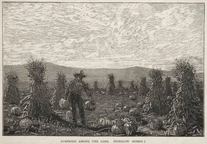 Pumpkins Among the Corn by Winslow Homer