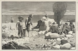 Seaside Sketches - A Clam-Bake by Winslow Homer