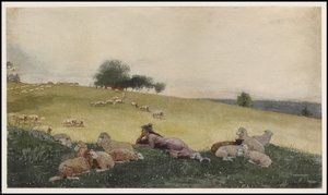 Shepherdess of Houghton Farm