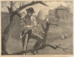 Spring Farm Work by Winslow Homer