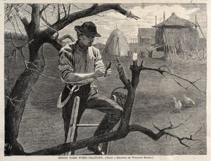 Spring Farm Work - Grafting by Winslow Homer