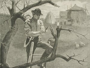 Spring Farm Work - Grafting by Winslow Homer