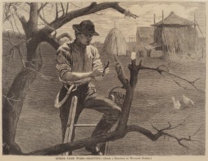 Spring Farm Work - Grafting, published 1870 by Winslow Homer