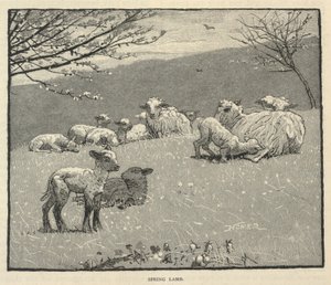 Spring Lamb by Winslow Homer