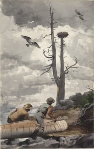 The Eagle