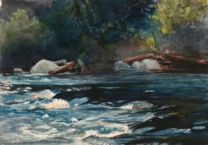 The Rapids, Hudson River, Adirondacks by Winslow Homer