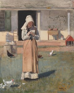 The Sick Chicken, 1874