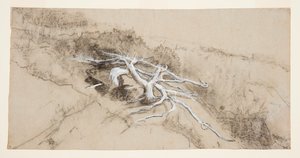 Tree Roots on a Hillside, Prout