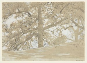 Waverly Oaks by Winslow Homer