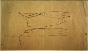 Wing of the Letatlin