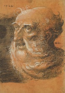 Head Study, 1522 by Wolf Huber