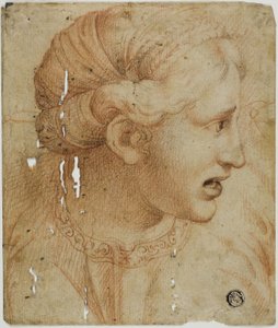 Female Head in Profile, Facing Right by Workshop of Raphael