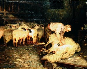 The Shearer