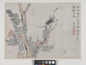 Insect and Tree (after Shen Zhou) by Wu Wang