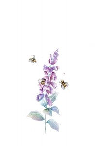 Watercolor Bees and Blooms by Xuan Thai