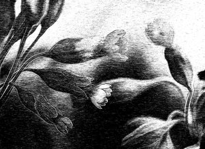 Delicate Floral Drawing