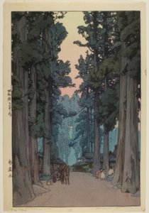 Cryptomeria Avenue