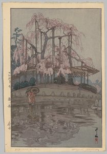 Eight Scenes of Cherry Blossoms: Spring Rain by Yoshida Hiroshi