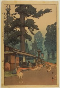 Way to the Kasuga Shrine