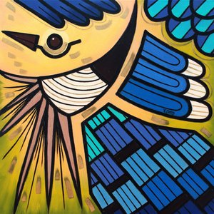 Backyard bird Blue jay by Yue Zeng