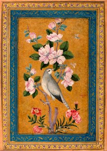 Bird Perching on a Blossoming Branch