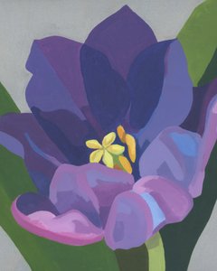 Vibrant Purple Flower by Yvonne Gustafsson