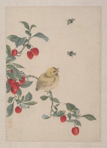 Birds, Insects and Flowers by Zhai Yi