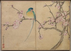 Desk Album: Flower and Bird Paintings Bird with Plum Blossoms
