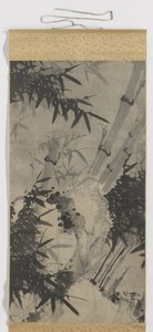Bamboo