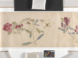 Coloured Flowers by Zhimian Zhou