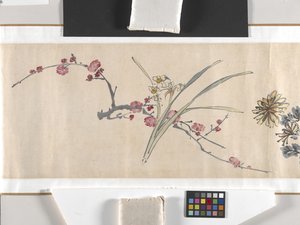 Coloured Flowers by Zhimian Zhou