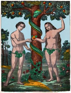 Adam and Eve (Engraving)