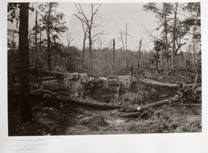 Battlefield of New Hope Church, Georgia, USA