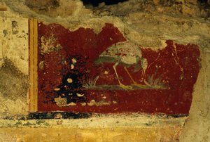 Bird, fresco fragment, Salus Augusta Temple-Cryptoporticus, ancient Roman city of Urbs Salvia, Urbisaglia, Marche, Italy